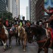 Horse BLM protests photo